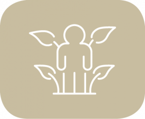 Webseite_US_ExecutiveC_2
